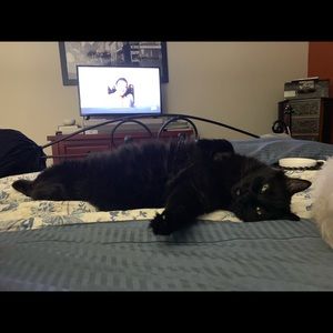 Meet your Posher, Mary